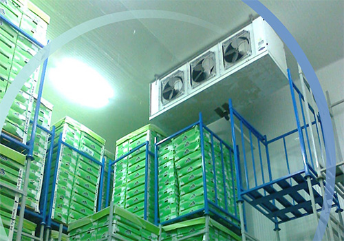 This image for Image Layouts addon